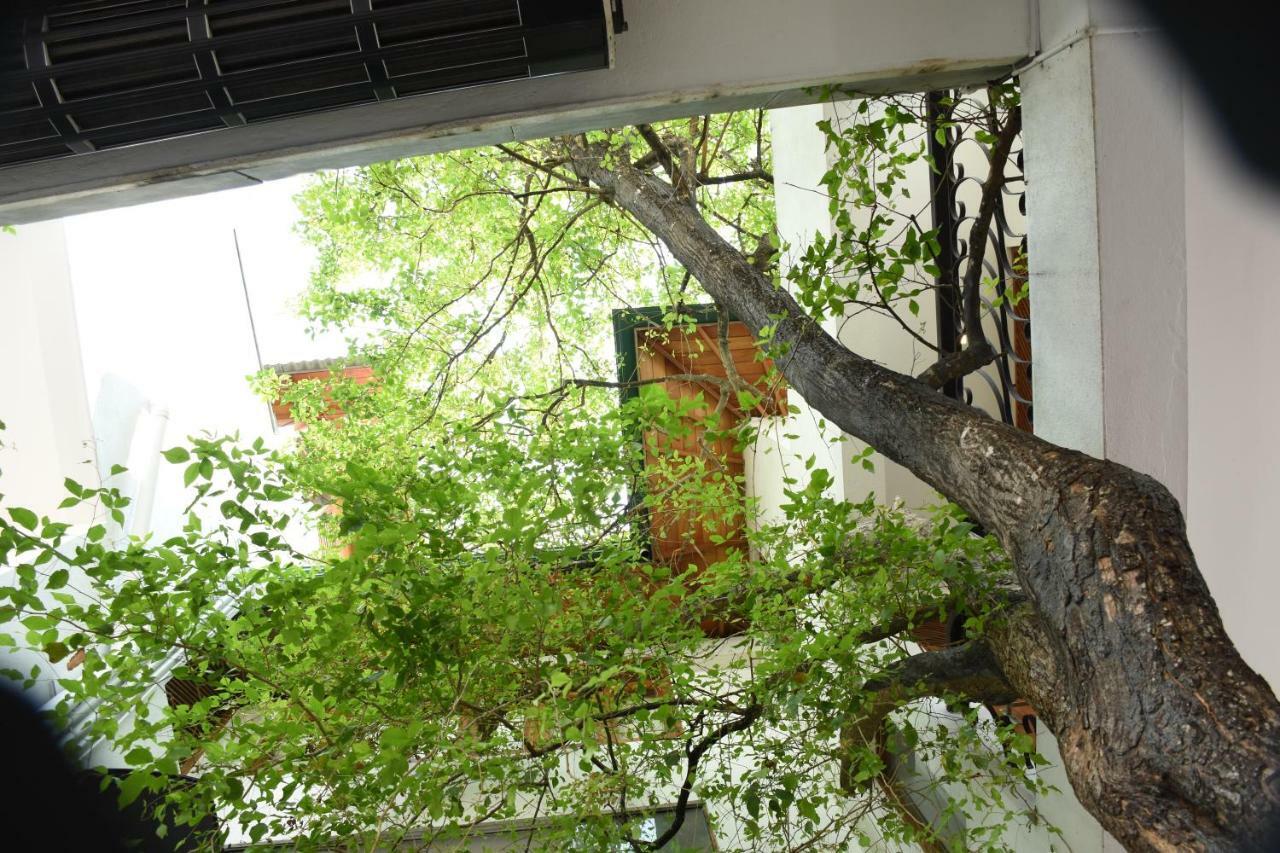 Colombo Tree House Hotel Nugegoda Eksteriør billede